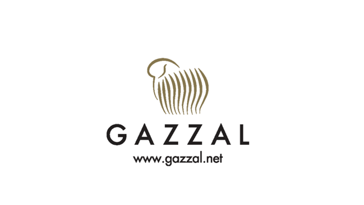 assets/uploads/moda baglioni/logo filati/diapositiva5.png